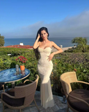 Apricot Mermaid Spaghetti Strap Lace Chiffon Long Party Dress Evening Dress HZ1023