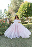 Light Pink Ball Gown Off the Shoulder Lace Organza Date Dress Prom Dress Birthday Dress HZ1023