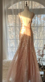 Champagne Shiny A Line V Neck Beaded Sequin Prom Dress Evening Dress HZ1023
