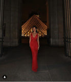 Sexy Red Sheath V Neck Beaded Tulle Long Prom Dress Party Dress HZ1023