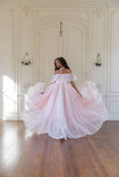 Light Pink Ball Gown Off the Shoulder Lace Organza Date Dress Prom Dress Birthday Dress HZ1023