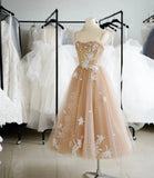 A Line Champagne Appliques Tulle Lace Short Prom Dress Homecoming Dress HZ1023