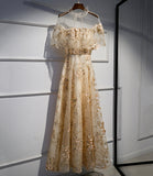 Sparkly A Line Appliques Tulle Long Prom Dress Evening Dress HZ1023