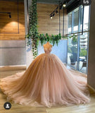 Ball Gown Pink Prom Dresses Quinceanera Dresses HZ1023
