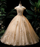 Gold A Line Off-the-shoulder Appliques Sequins Tulle Prom Dress HZ1023