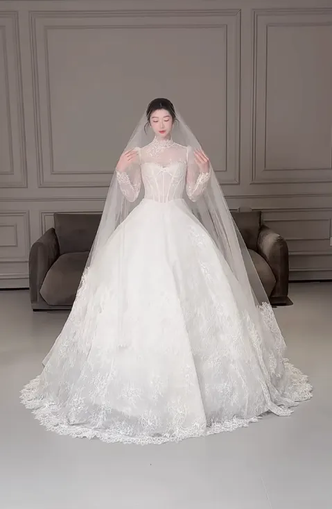 Modest Turtleneck Ball Gown Lace Applique Wedding Dress Elegant Long Sleeve Bridal Dress HZ1121