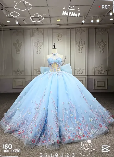 Gorgeous Halter Ball Gown Tulle Beaded Applique Long Prom Dresses, Pale Blue Quinceanera Dresses HZ1121