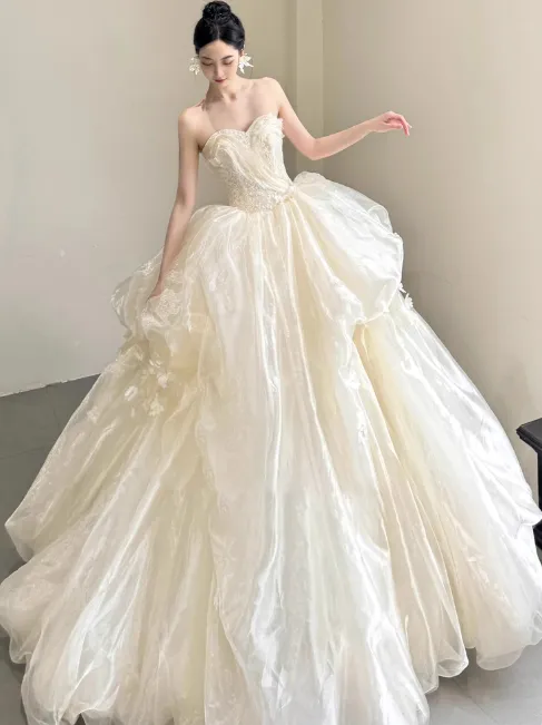 Elegant Strapless Ball Gown Tulle Long Luxury Wedding Dresses Light Champagne Sleeveless Bridal Gowns HZ1121