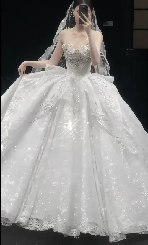 Glitter Strapless Ball Gown Tulle Wedding Dresses Beaded White Bridal Gowns Sleeveless Bridal Dresses HZ1121