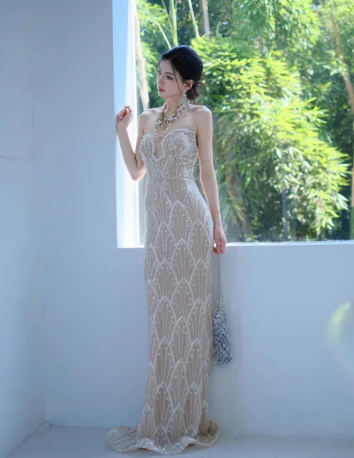 Sexy Sweetheart Sheath Long Prom Dresses Sequined Tulle Champagne Evening Dresses Sleeveless Formal Dresses HZ1121