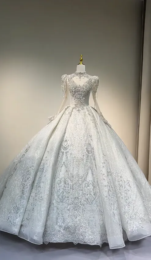 Gorgeous Ball Gown Beaded Long Wedding Dresses Tulle White Bridal Gowns Long Sleeve Bridal Dresses HZ1121